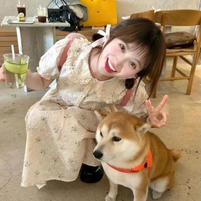 堪萨斯小猫